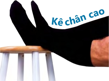 phong ngua suy tinh mach 2